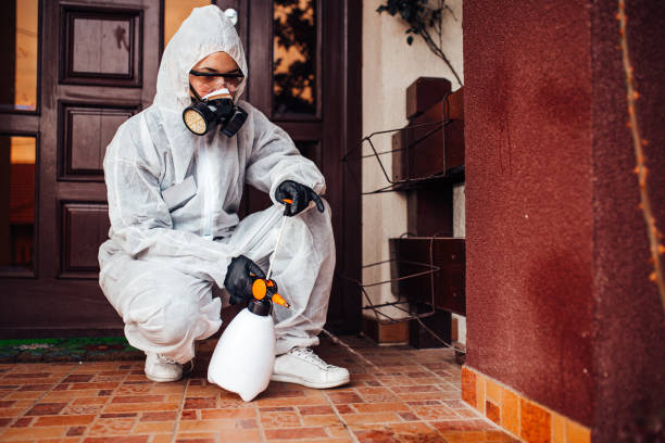 Reliable Wasp Removal contractor in Winner, SD by Show Me Pest Control